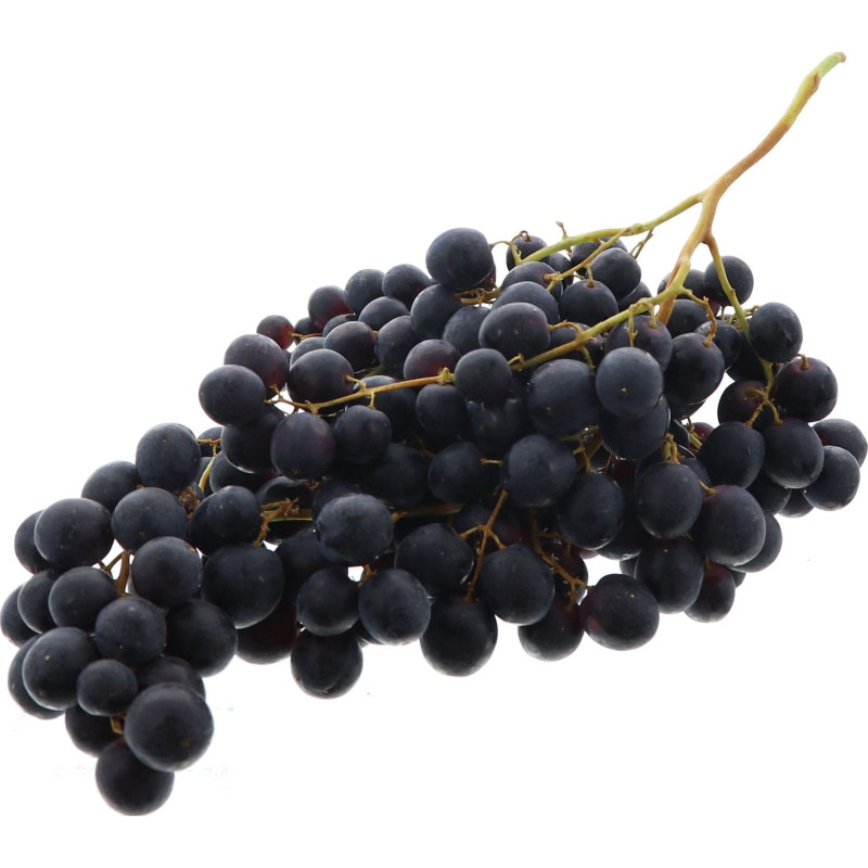 RAISIN NOIR SEEDLESS SWEET CELEBRATION 8KG